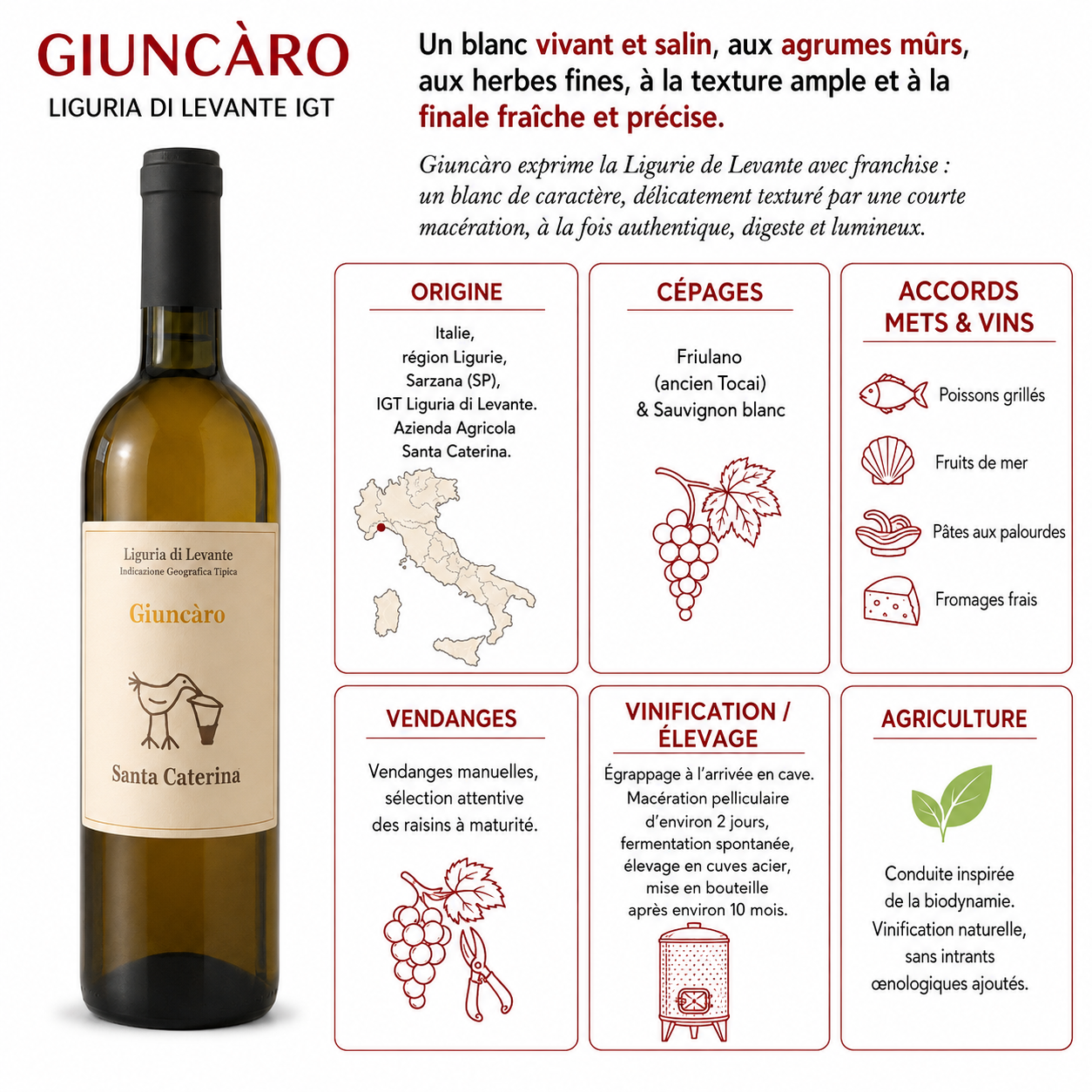 VINOMAX